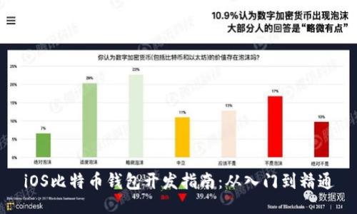 iOS比特币钱包开发指南：从入门到精通