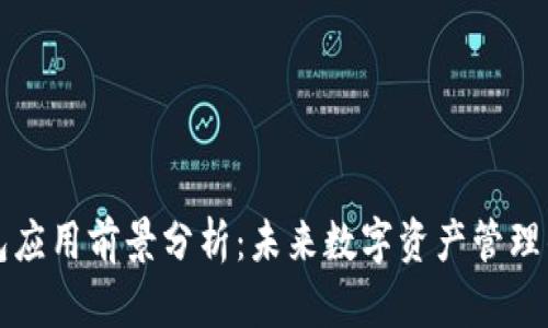 区块链钱包应用前景分析：未来数字资产管理的关键工具