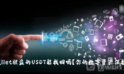 TPWallet被盗的USDT能找回吗？你的数字资产保护指南