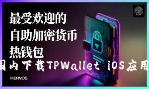 : 如何在国内下载TPWallet iOS应用：详细指南