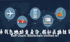 如何通过虚拟币钱包地址查身份，揭秘区块链背